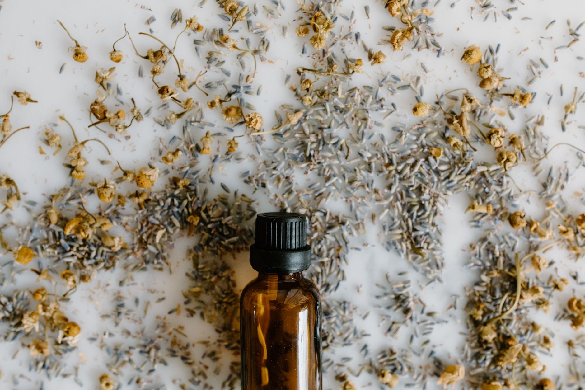 Close-up of an essential oil bottle surrounded by dried lavender and chamomile on a white surface.